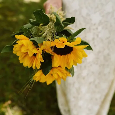 乡村民宿 阿尔玛利兹官员乡村酒店 诺盖拉德拉姆